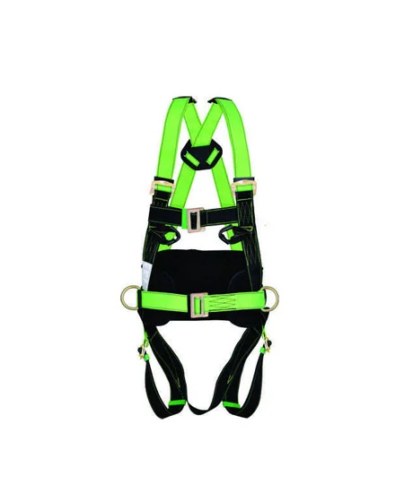 Harness